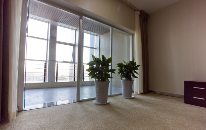 上海辦公室裝修設(shè)計陽臺綠植選擇指南 上海辦公室裝修設(shè)計陽臺綠植選擇指南