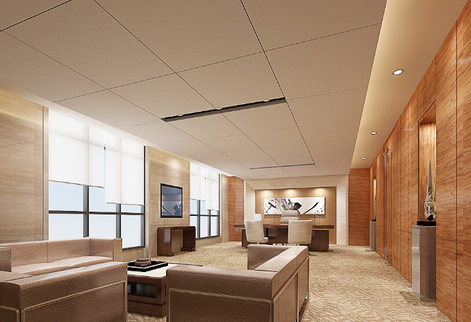 上海辦公室裝修設(shè)計(jì)：平安樹(shù)挑選全攻略，打造綠色辦公新體驗(yàn)！