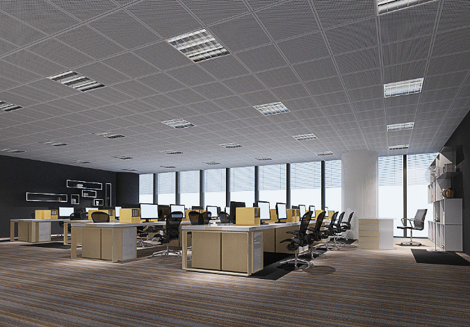 上海辦公室裝修設(shè)計：銅錢草，如何巧妙融入空間美學(xué)？